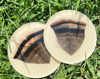 Turkey Feathers Coasters