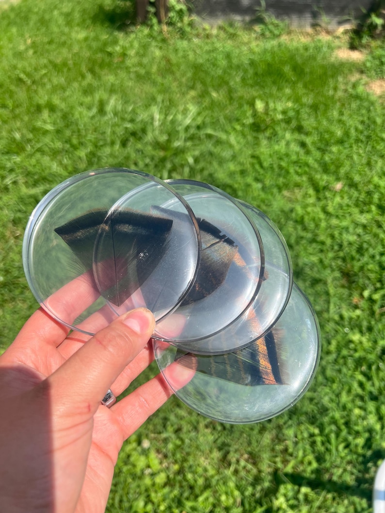 Op de afbeelding: Een set van drie ronde, transparante acryl onderzetters, elk met een donkerbruine en zwart gestreepte veer ingebed in het heldere materiaal. De onderzetters hebben gladde, afgeronde randen en een glanzende afwerking, waardoor het natuurlijke patroon van de veren duidelijk zichtbaar is door het transparante oppervlak.