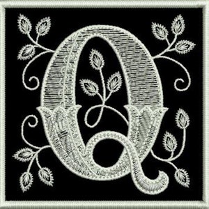Puede incluir: Letra Q bordada en blanco con adornos florales sobre un fondo negro. La letra está en una fuente de letra decorativa con un diseño de vid.
