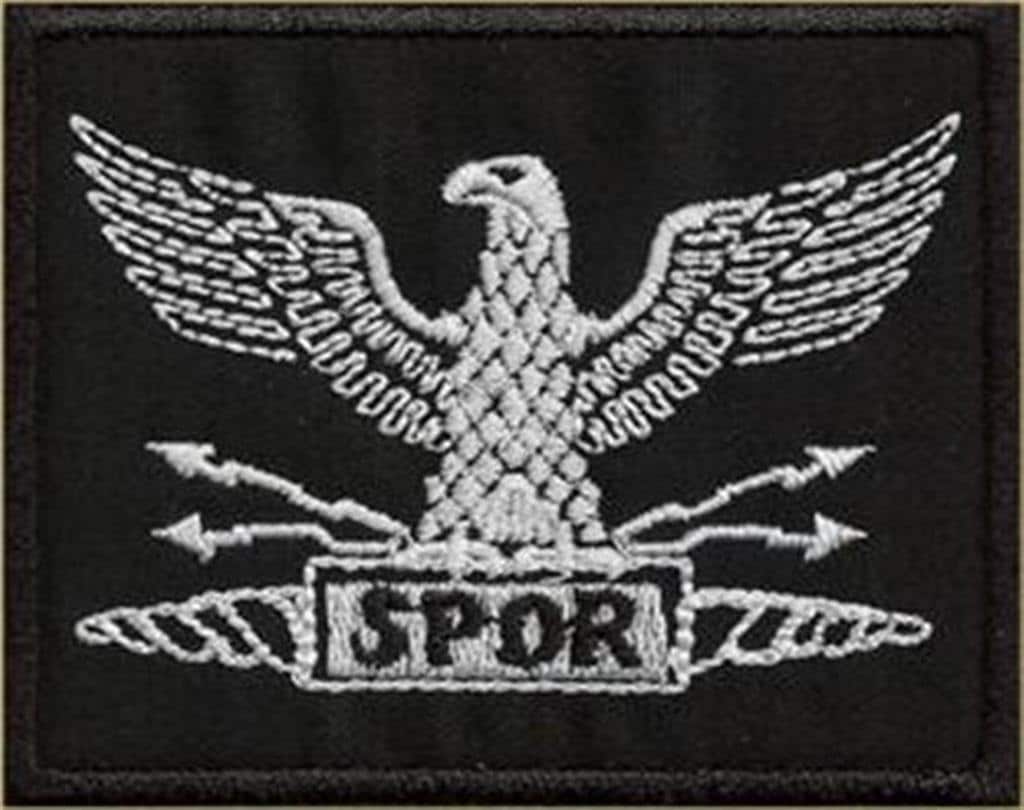 Ägyptischer Adler Aufnäher – Bestickt, 8,5x8 Cm, Zum Aufbügeln (Hotfix), 100% Polyester