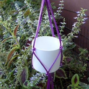 May include: A white cylindrical plant pot suspended by a purple macrame cord hanger. The hanger features a series of knotted purple cords that form a diamond pattern around the pot, meeting at a metal ring at the top and ending in tassels.