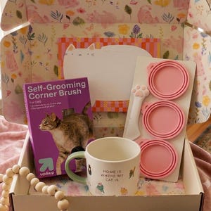 Cat Mom Care Package – Ceramic Mug, Notepad, Grooming Brush, Can Covers (Gift Bundle)