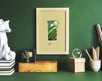 Window Palms Print