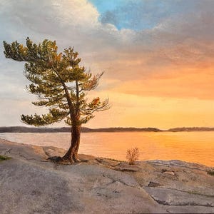 Può includere: Un dipinto paesaggistico che raffigura un pino solitario spazzato dal vento su una costa rocciosa. La scena mostra uno specchio d'acqua calmo che riflette un vivace tramonto dai toni arancioni e gialli, contrastato da un cielo nuvoloso bluastro.