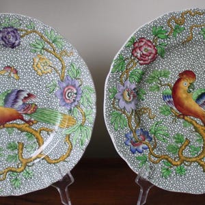 May include: Two vintage ceramic plates with a floral and bird design. The plates feature a white background with green, yellow, blue, and red floral patterns and a parrot perched on a branch.