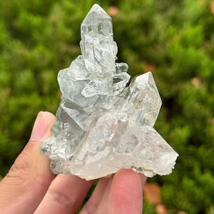May include: A clear, multi-pointed quartz crystal cluster featuring several sharp, translucent terminations. The mineral specimen displays natural geometric facets and internal inclusions, with a jagged, crystalline structure that radiates outward from a central base.