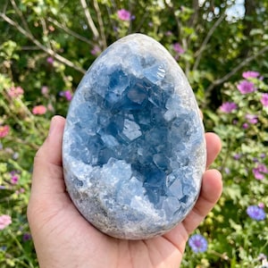 May include: An egg-shaped celestite geode featuring a cluster of translucent, light blue crystalline structures within a rough, greyish-white outer shell. The interior displays multifaceted, angular crystal formations that catch the light.