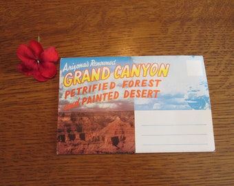 Vintage Arizona Souvenir Postcard Packet Unused Grand Canyon Petrified Forest Painted Desert