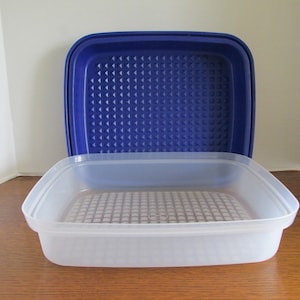 Tupperware Season- Serve Marinade Container Meat Tenderizer Teal Blue Lid  1295