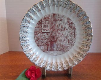 Vintage World Famous Tree House Souvenir Plate  Redwood Highway CA