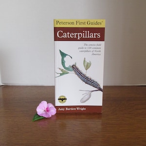 Peterson First Guides Caterpillars of North America  by Amy Bartlett Wright Copyright 1993