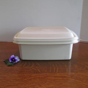 May include: A rectangular, off-white plastic container with a matching lid. The container has a slightly rounded top and a two-tiered design. A small purple and yellow flower rests on the wooden surface in front of the container.