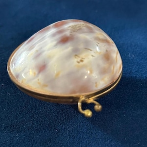 May include: A small, oval-shaped hinged box featuring a polished, translucent shell lid with marbled white, cream, and reddish-brown tones. The base and rim are constructed from a thin gold-toned metal, including a small, double-knobbed clasp.