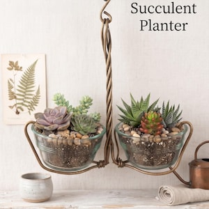 May include: A double succulent planter featuring two clear glass bowls held by a twisted bronze-colored metal frame. The bowls contain soil, small pebbles, and various green and purple succulents. The text reads Double Succulent Planter.