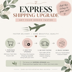 Puede incluir: Un gráfico titulado EXPRESS SHIPPING UPGRADE con un icono de avión verde oscuro. Muestra cuatro pasos: 1. Purchase your item, 2. Add this upgrade, 3. We ship faster, 4. Enjoy sooner. El texto incluye instrucciones para añadir el artículo al carrito.