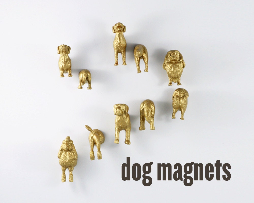 Large Dog Magnet Set Multi Dog Gold Magnets 18 Pieces 9 Heads & 9 Butts 