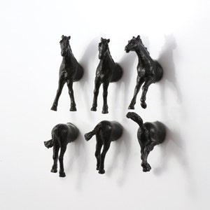 Horses Magnet Set 6 piece set black horses image 1
