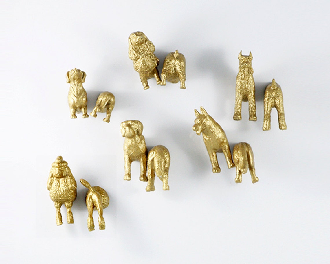 12 Pack of Gold DOG for Your Best Friend's Fridge Etsy