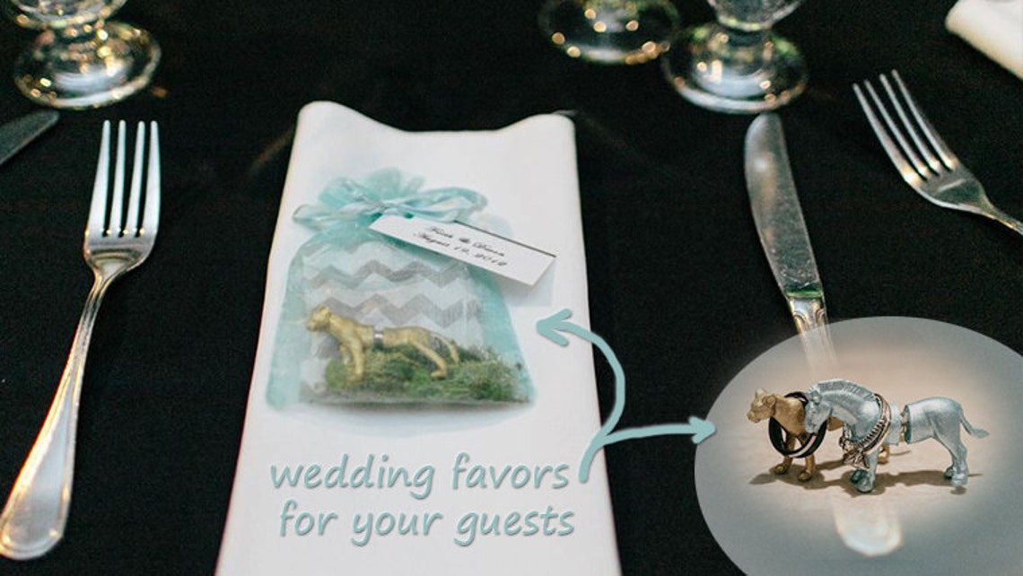 wedding favor or escort card for 50 guests zoo favors etsy