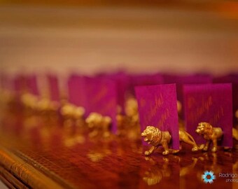 Indian theme escort cards - Gold place cards - 50 magnets (25 full animals) pink and gold wedding