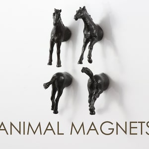 Black Stallion Horses Magnet Set - 4 piece set - midnight black horses