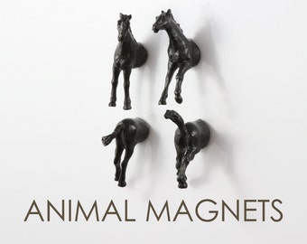 Black Stallion Horses Magnet Set - 4 piece set - midnight black horses