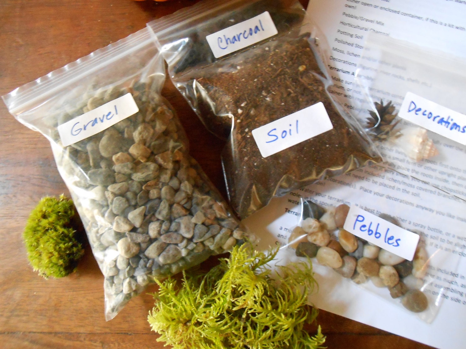 DIY Terrarium Kit Without Container or Moss Large XLarge Etsy