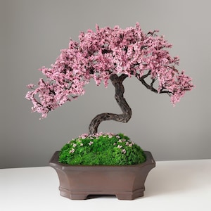 Rosa körsbärsblom, Japandi bonsaiträd | Konserverad sakura, stabiliserad mossa | Brun keramikkruka, 31 cm