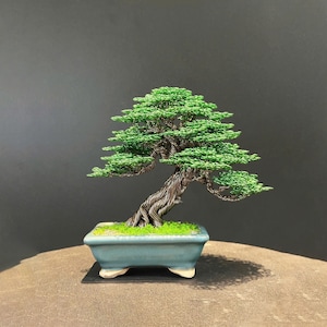 Bonsai de arame de cobre, elegante árvore de mesa | Tronco de alumínio, vaso de cerâmica esmaltada | 15–20 cm de altura