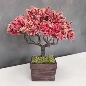 Peach Blossom Bonsai, Preserved Moss Table Tree | Dark Brown Ceramic Pot | 8.7In Height, Handmade Wire Trunk