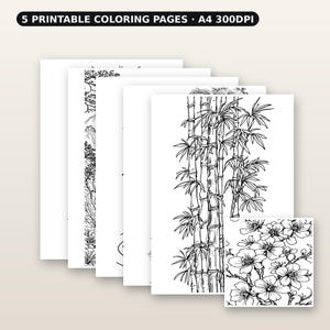 Mountain Coloring Book Coloring Page, Chinoiserie Gallery Art, Gallery Wall Set, Digital Print, Ink Wash Painting image 1