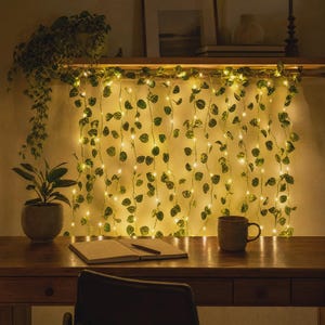 Könnte beinhalten: Eine Lichterkette aus künstlichen grünen Efeuranken, die mit warmweißen LED-Lichtern durchzogen ist und vertikal hängt, um einen leuchtenden Vorhang zu bilden. Die Ranken haben kleine herzförmige Blätter und dünne, flexible Drahtstränge.