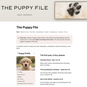 Peut inclure: Un document num&eacute;rique intitul&eacute; The Puppy File, Folio Edition 01, pr&eacute;sentant une image de patte de chiot, une section profil de chiot avec la photo d'un golden retriever et du texte d&eacute;taillant les phases de soins, sant&eacute; et &eacute;ducation.
