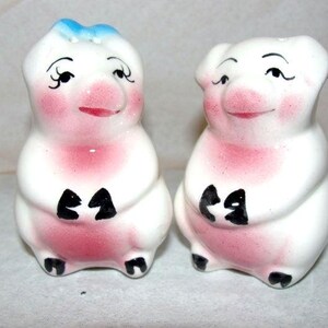 Porcelain Pig Salt and Pepper Shakers Mr and Mrs Shakers