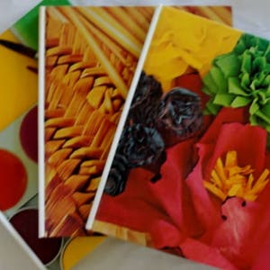 Taller creativo familiar, libros, n.º 6, 14 y 22 Libros Elaboración de vino, flores de papel, macramé