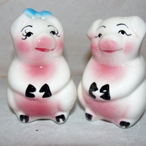 Porcelain Pig Salt and Pepper Shakers Mr and Mrs Shakers
