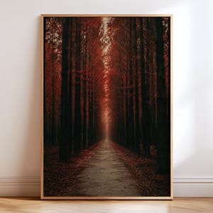 Stämningsfull höstskogsstig konsttryck, mörk skogslandskap poster, gotisk natur väggdekor