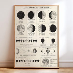 以下が含まれることがあります： クリーム色の背景に黒いインクで描かれた「The Phases of the Moon」というタイトルの長方形の教育用ポスター。月の満ち欠け、照明の割合、軌道、表面の特徴を詳述する16の図が配置されています。