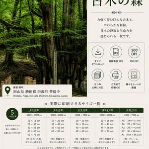 以下が含まれることがあります： 岡山県の緑豊かな森に立つ大きな古木を写したデジタルダウンロード用ポスター。画像にはテキスト、ファイル形式のアイコン、300 DPIの解像度、およびセンチメートル単位で印刷可能なサイズを記載した詳細な表が含まれています。