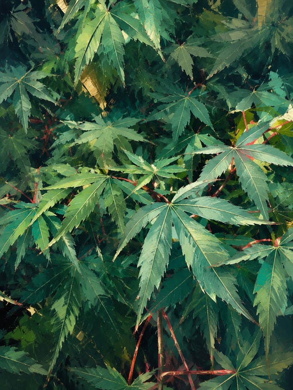 Emerald Maple Leaves Printable Wall Art, Green Botanical Digital Download, Nature-Inspired Decor