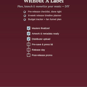 Manuale per la pubblicazione di brani musicali indipendenti / Pianificatore di pubblicazione fai-da-te in PDF per musicisti