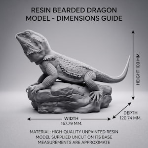 High-detail 3D printed miniature of a Bearded Dragon (Pogona) captured in a natural basking pose on a textured rock, showing intricate scale patterns from a low-angle perspective. Printed in grey using Anycubic Standard Resin V2 at 14K resolution. Ideal for painters and collectors. 🐉🦎 #3dprinting #beardeddragon #minipainting