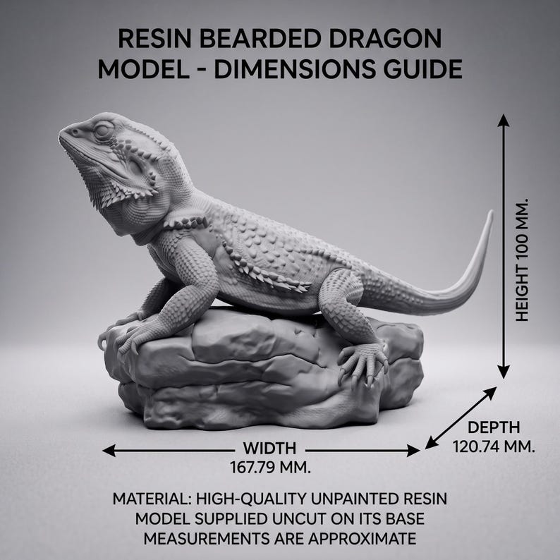 High-detail 3D printed miniature of a Bearded Dragon (Pogona) captured in a natural basking pose on a textured rock, showing intricate scale patterns from a low-angle perspective. Printed in grey using Anycubic Standard Resin V2 at 14K resolution. Ideal for painters and collectors. 🐉🦎 #3dprinting #beardeddragon #minipainting