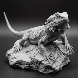 High-detail 3D printed miniature of a Bearded Dragon (Pogona) captured in a natural basking pose on a textured rock, showing intricate scale patterns from a low-angle perspective. Printed in grey using Anycubic Standard Resin V2 at 14K resolution. Ideal for painters and collectors. 🐉🦎 #3dprinting #beardeddragon #minipainting