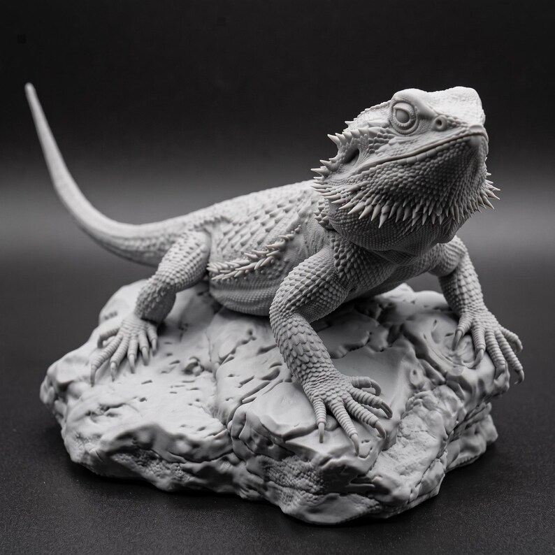 High-detail 3D printed miniature of a Bearded Dragon (Pogona) captured in a natural basking pose on a textured rock, showing intricate scale patterns from a low-angle perspective. Printed in grey using Anycubic Standard Resin V2 at 14K resolution. Ideal for painters and collectors. 🐉🦎 #3dprinting #beardeddragon #minipainting
