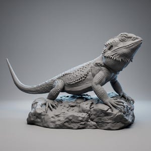 High-detail 3D printed miniature of a Bearded Dragon (Pogona) captured in a natural basking pose on a textured rock, showing intricate scale patterns from a low-angle perspective. Printed in grey using Anycubic Standard Resin V2 at 14K resolution. Ideal for painters and collectors. 🐉🦎 #3dprinting #beardeddragon #minipainting