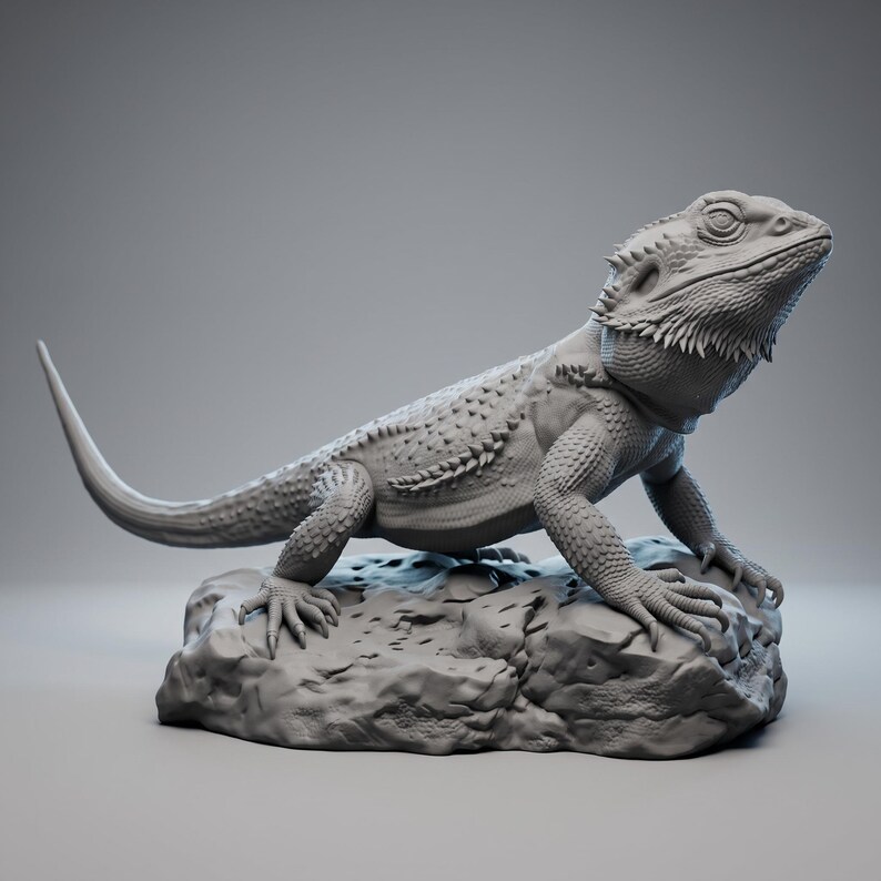 High-detail 3D printed miniature of a Bearded Dragon (Pogona) captured in a natural basking pose on a textured rock, showing intricate scale patterns from a low-angle perspective. Printed in grey using Anycubic Standard Resin V2 at 14K resolution. Ideal for painters and collectors. 🐉🦎 #3dprinting #beardeddragon #minipainting