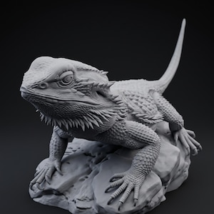 High-detail 3D printed miniature of a Bearded Dragon (Pogona) captured in a natural basking pose on a textured rock, showing intricate scale patterns from a low-angle perspective. Printed in grey using Anycubic Standard Resin V2 at 14K resolution. Ideal for painters and collectors. 🐉🦎 #3dprinting #beardeddragon #minipainting