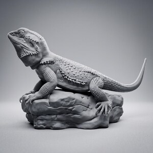 High-detail 3D printed miniature of a Bearded Dragon (Pogona) captured in a natural basking pose on a textured rock, showing intricate scale patterns from a low-angle perspective. Printed in grey using Anycubic Standard Resin V2 at 14K resolution. Ideal for painters and collectors. 🐉🦎 #3dprinting #beardeddragon #minipainting