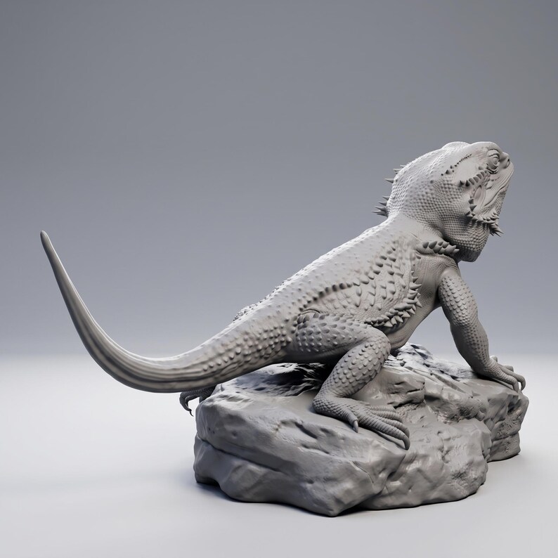 High-detail 3D printed miniature of a Bearded Dragon (Pogona) captured in a natural basking pose on a textured rock, showing intricate scale patterns from a low-angle perspective. Printed in grey using Anycubic Standard Resin V2 at 14K resolution. Ideal for painters and collectors. 🐉🦎 #3dprinting #beardeddragon #minipainting